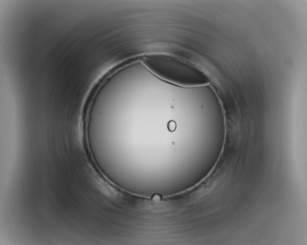 X0000115431076200911121058