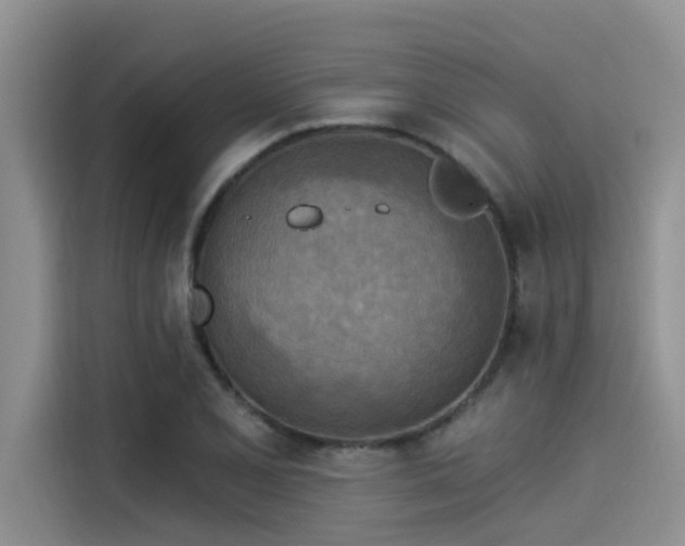 X0000115431077200911121058