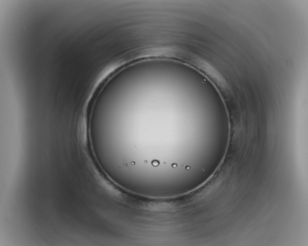 X0000115431079200911121058