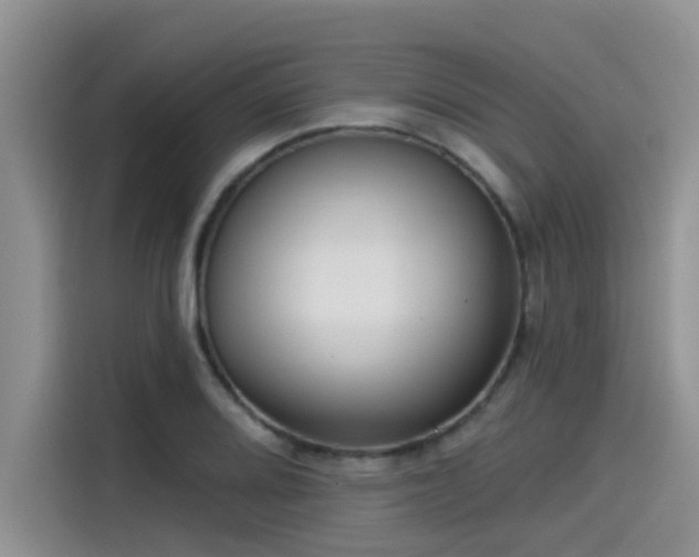 X0000115431080200911121058