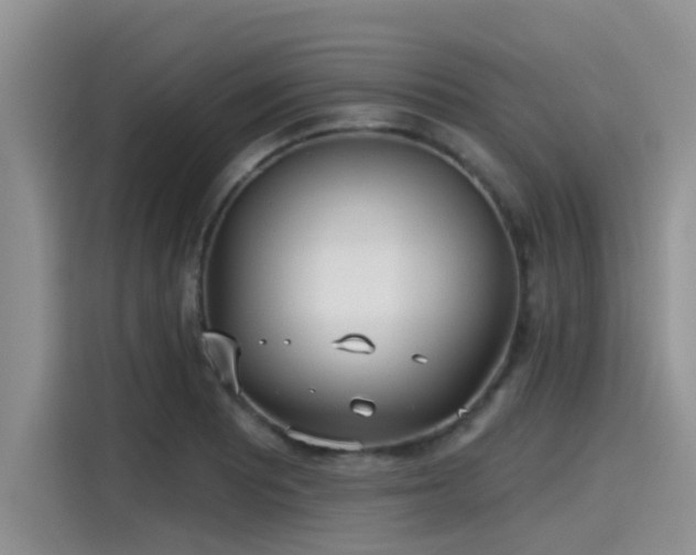 X0000115431081200911121058