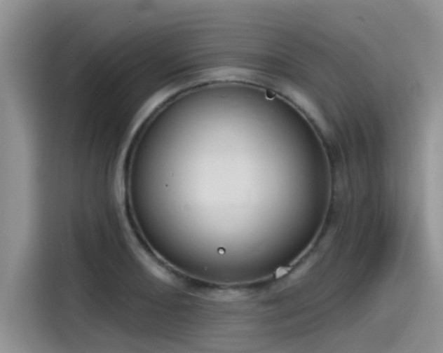 X0000115431082200911121058