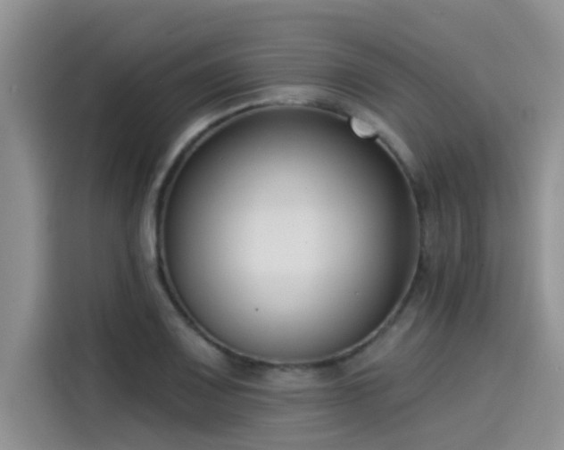 X0000115431083200911121058