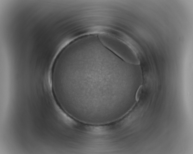 X0000115431084200911121058