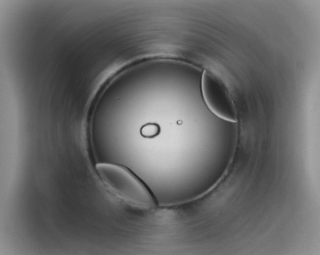 X0000115431085200911121058