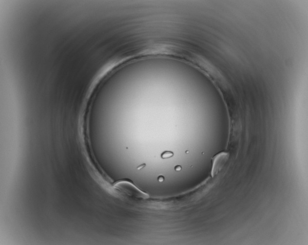 X0000115431086200911121058