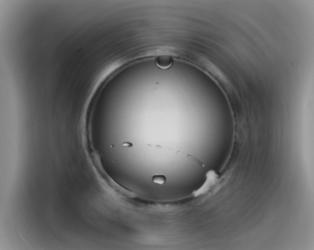 X0000115431087200911121058