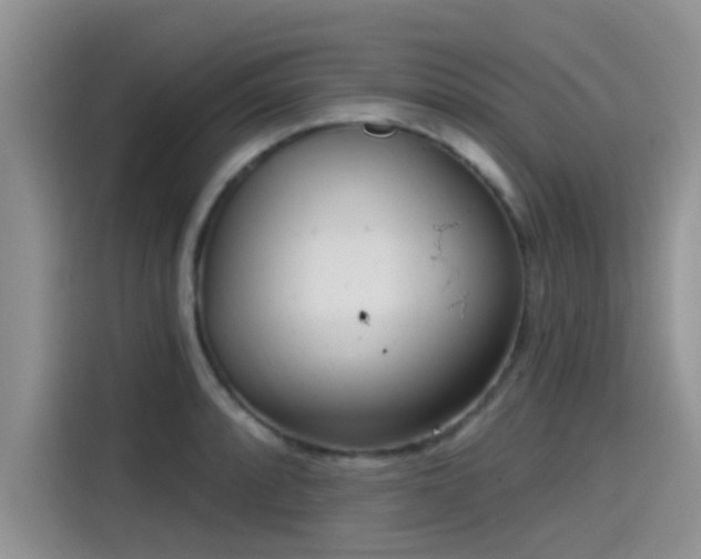X0000115431088200911121058