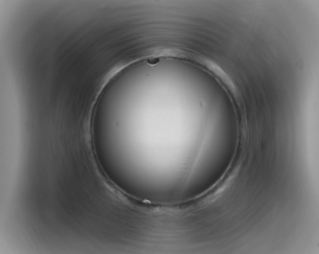 X0000115431089200911121058