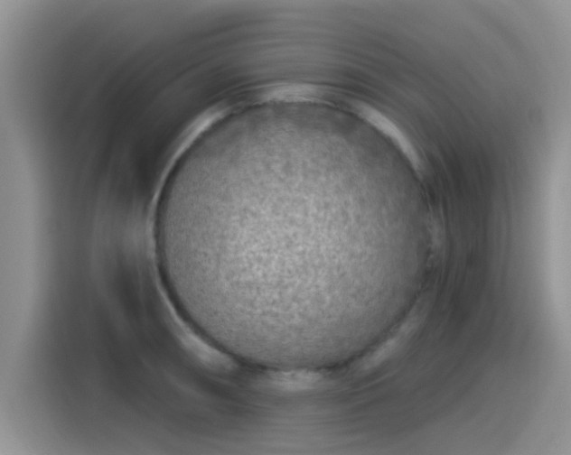 X0000115431090200911121058