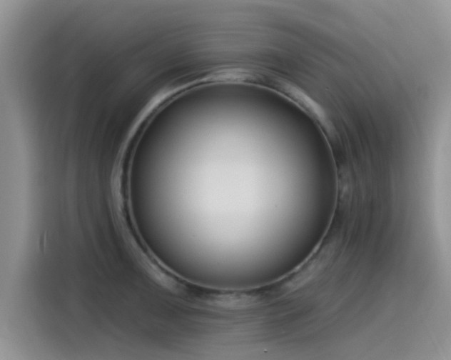 X0000115431091200911121058