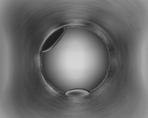 X0000115431092200911121058