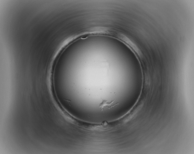 X0000115431093200911121058