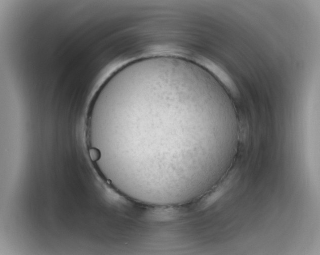 X0000115431094200911121058