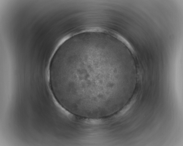X0000115431095200911121058