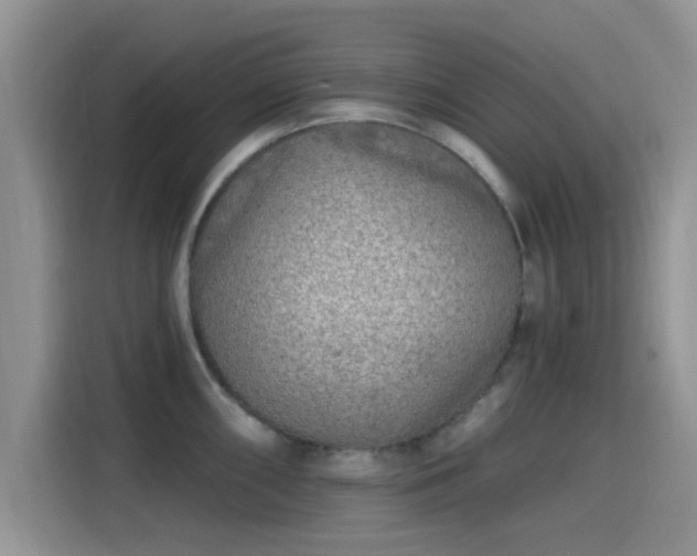X0000115431098200911121058