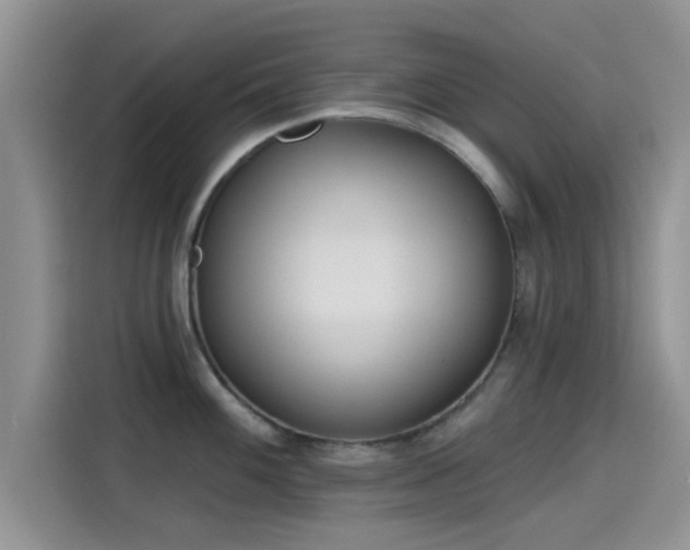 X0000115431100200911121058