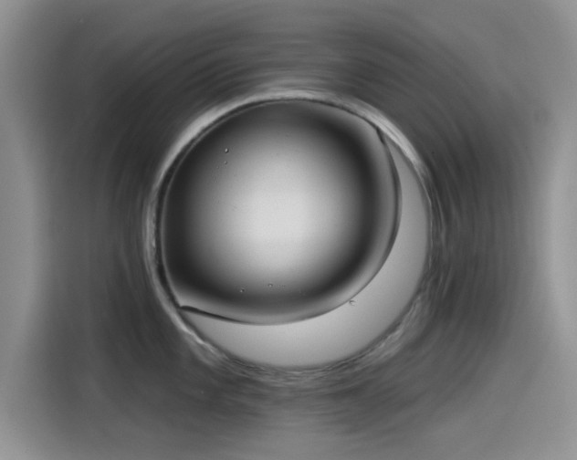 X0000115431101200911121058