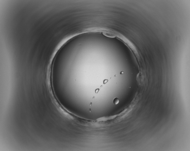 X0000115431102200911121058