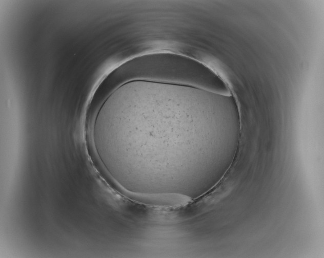 X0000115431104200911121058