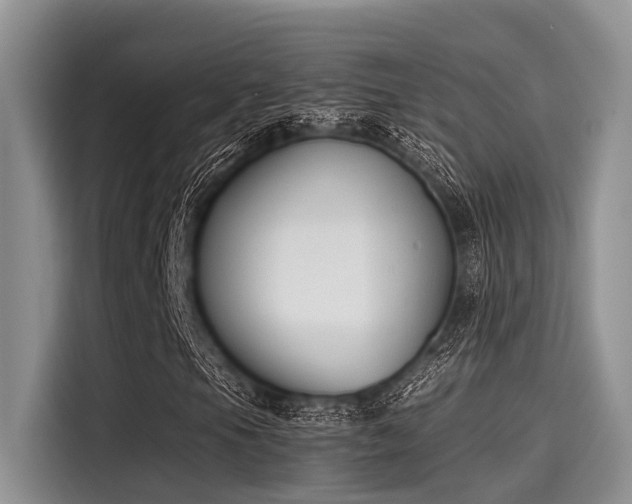 X0000115431105200911121057
