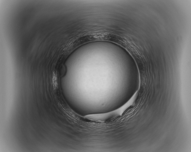X0000115431106200911121057