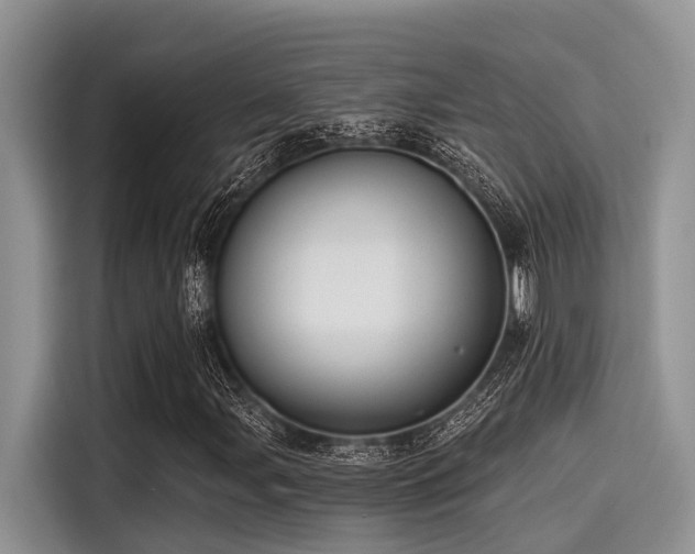 X0000115431107200911121057