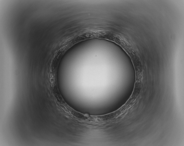 X0000115431109200911121057