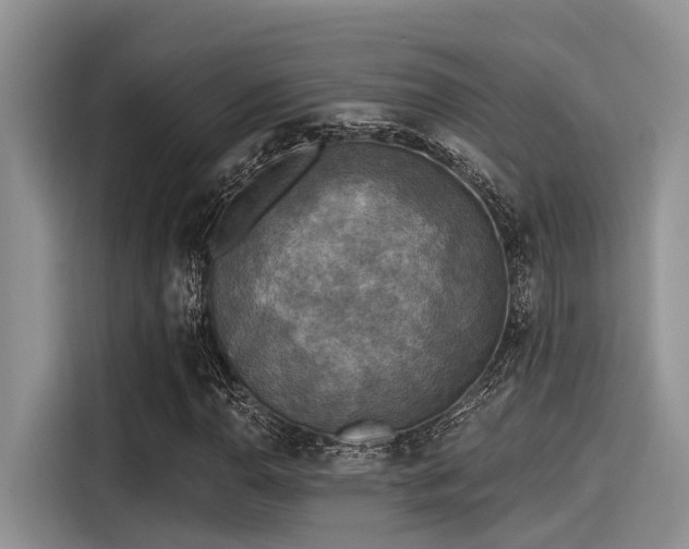 X0000115431110200911121057