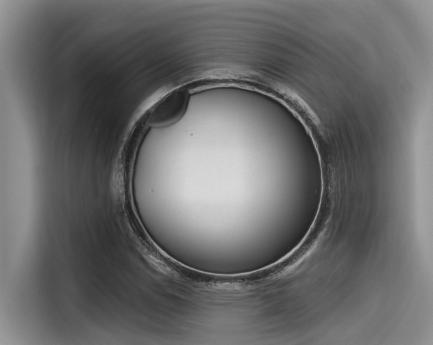 X0000115431114200911121057