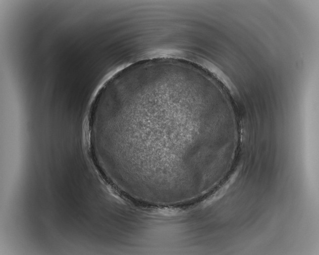 X0000115431117200911121057