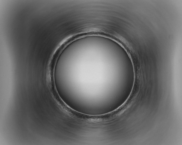 X0000115431118200911121058
