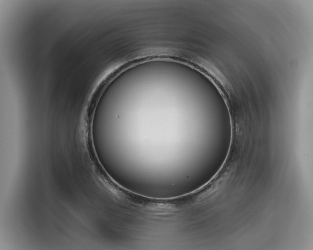 X0000115431119200911121058