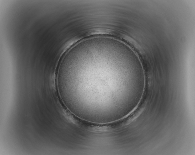 X0000115431121200911121058