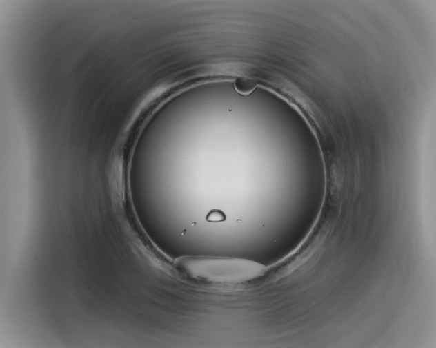 X0000115431123200911121058