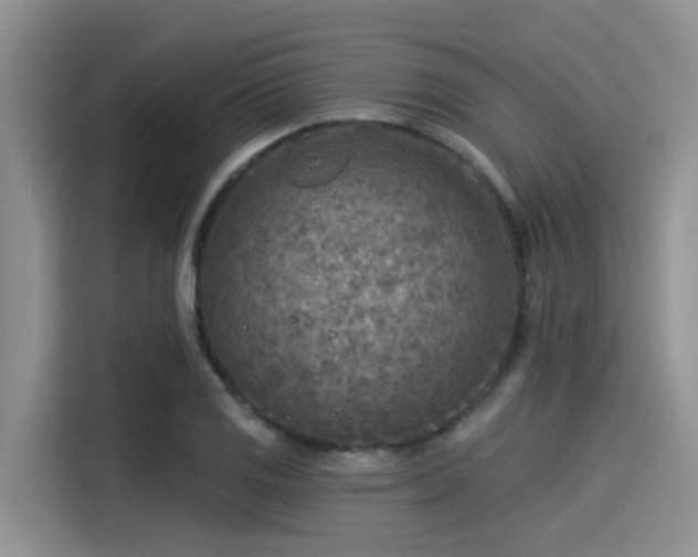 X0000115431125200911121058