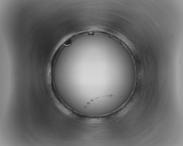 X0000115431126200911121058