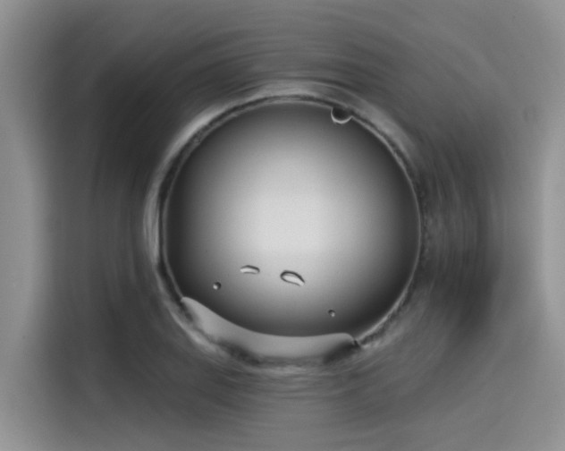 X0000115431127200911121058