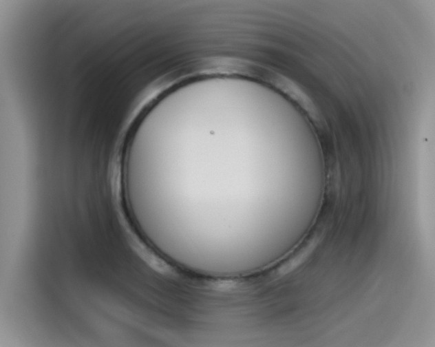 X0000115431130200911121058