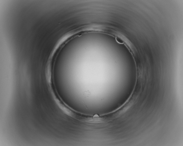 X0000115431131200911121058
