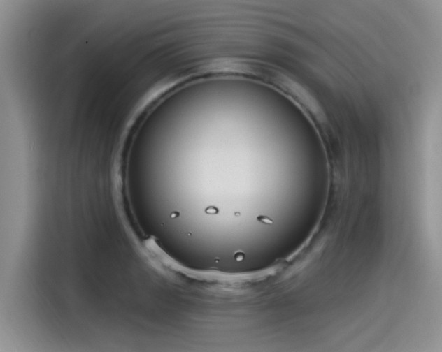 X0000115431133200911121058