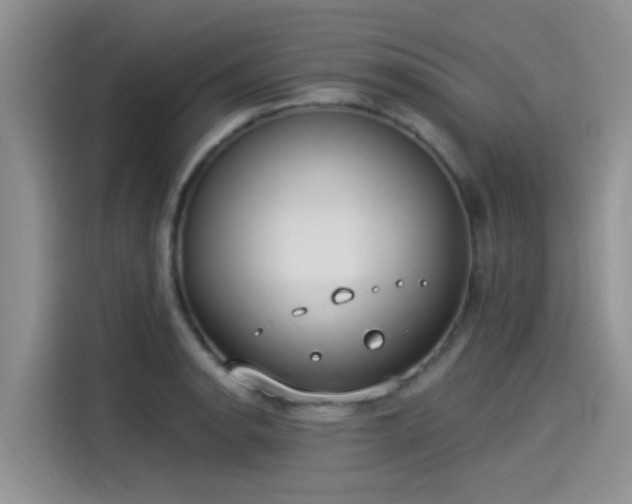 X0000115431134200911121058