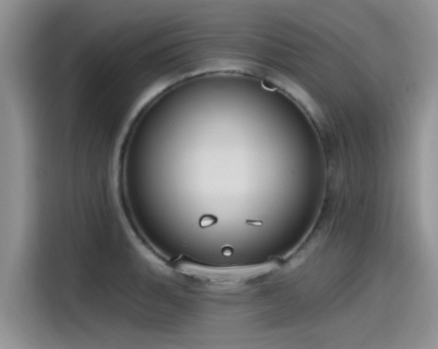 X0000115431135200911121058