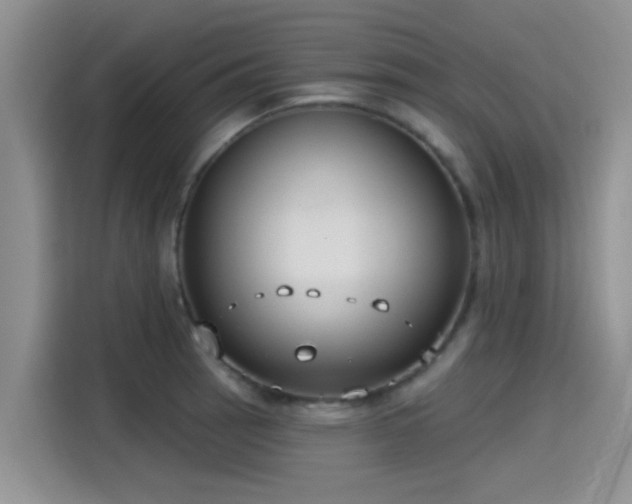 X0000115431137200911121058