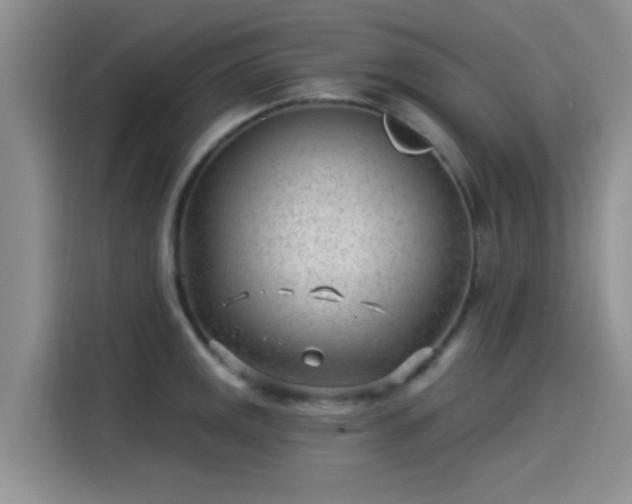 X0000115431141200911121058
