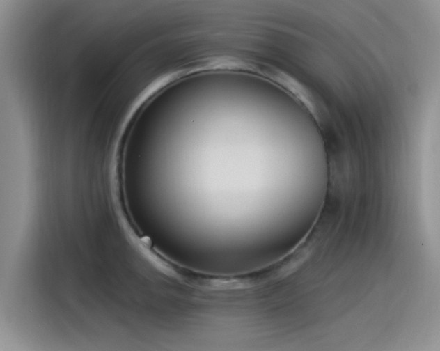 X0000115431142200911121058