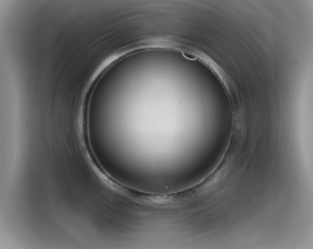 X0000115431147200911121058
