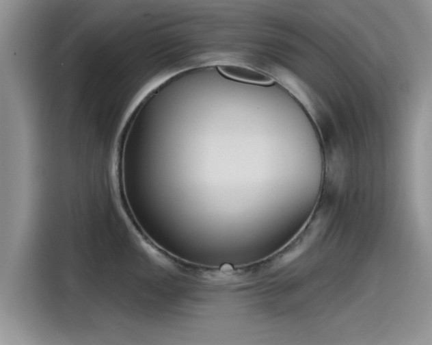 X0000115431149200911121058