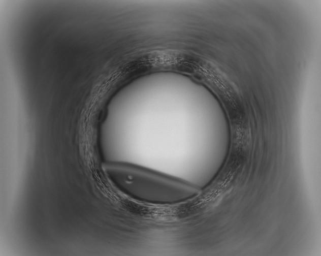 X0000115431153200911121057