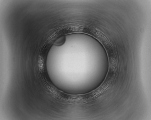 X0000115431154200911121057